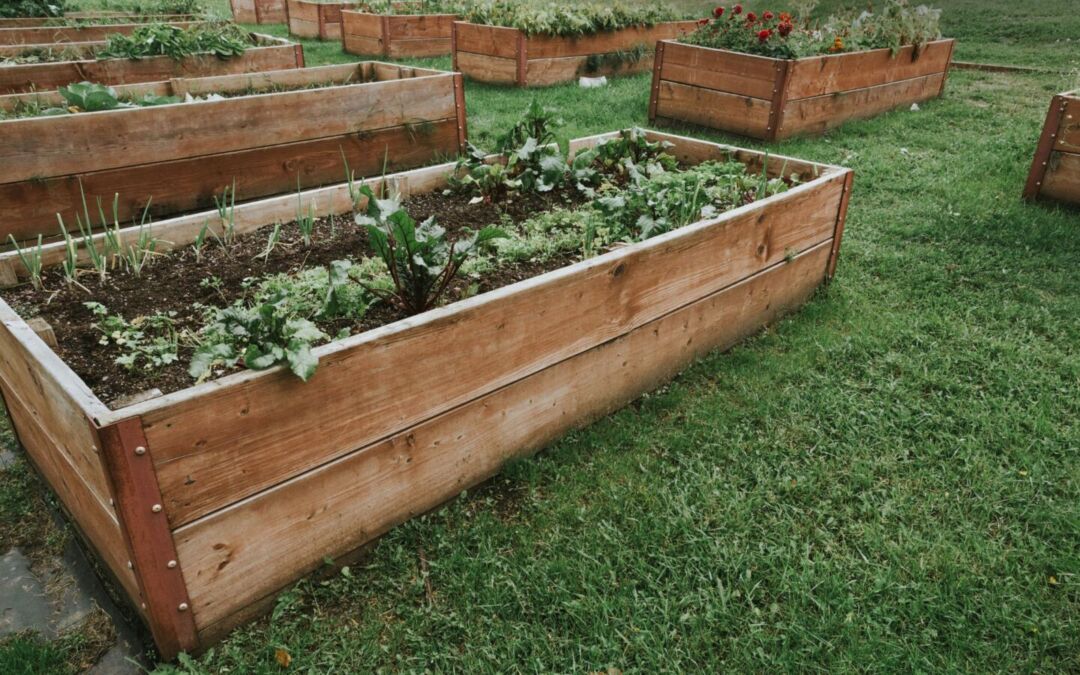 Gardening in the Autumn and Winter